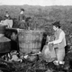 Poitin stills, Ireland, 1885